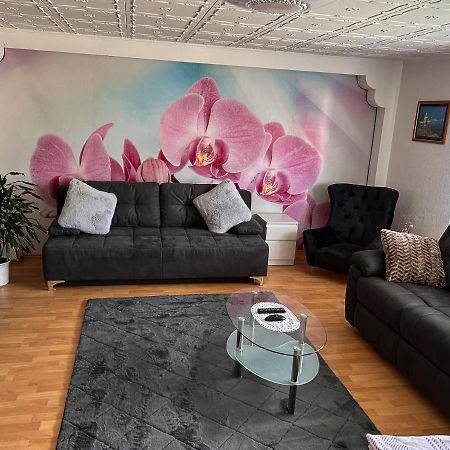 Ferien- Und Monteurwohnung Julia Mörlenbach Dış mekan fotoğraf